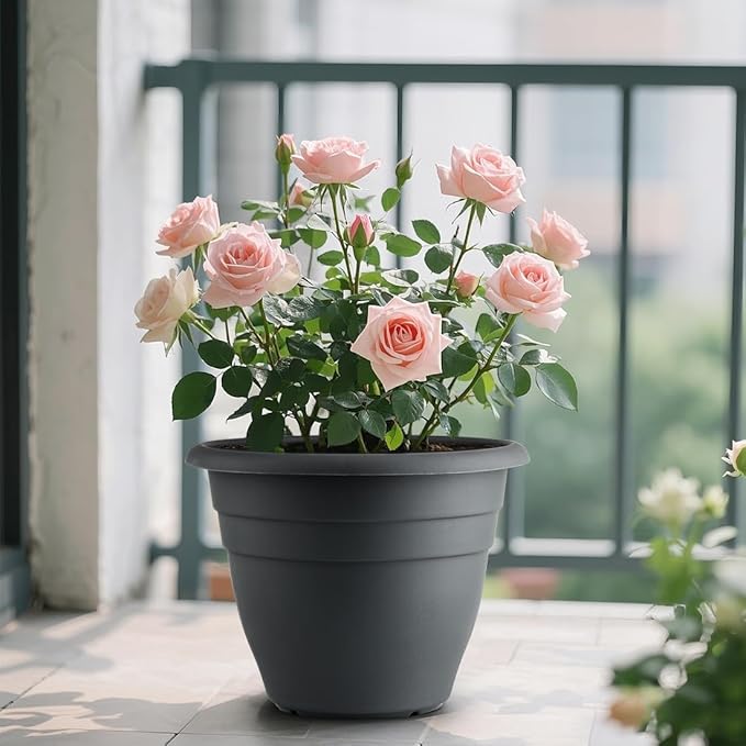 12 Inch Plant Pots, Large Planters - Image 7