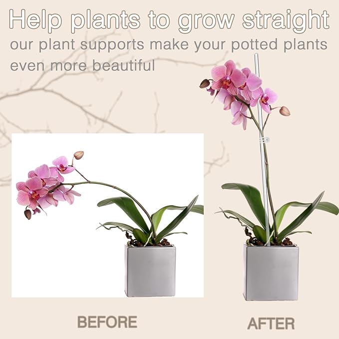 Plant Stakes, Plant Sticks 20PCS Acrylic Clear Plant Support Stakes, 16 Inches - Image 3