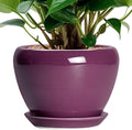 Ceramic Pots for Plants 6 Inch by Ceramicfor