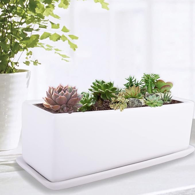 Vencer 12 Inch Rectangular Modern Minimalist Ceramic Succulent Planter Pot - Image 7