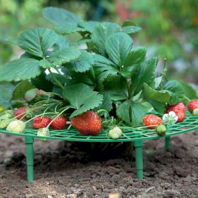 Comimark 12 PCS Grow Your Garden - Image 5