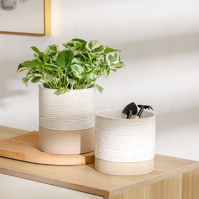 Nihow Ceramic Plant Pot: 6 Inch Planter - Image 4