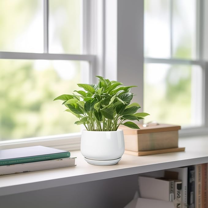 G EPGardening Ceramic Plants Pots - Image 6