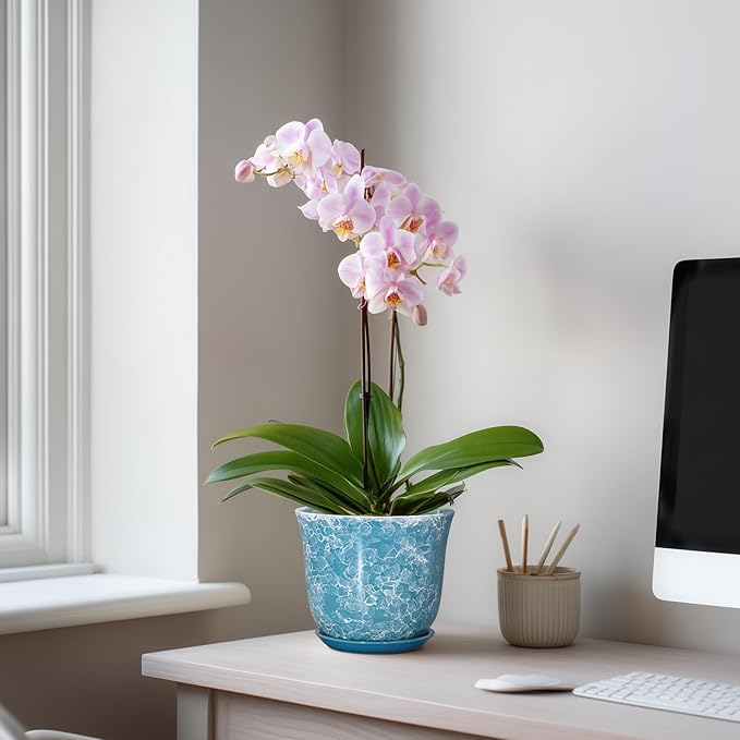 Ceramic Pots for Plants - Image 3