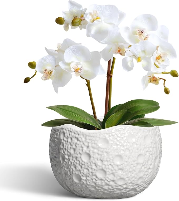 Ceramic Pots for Plants by Thirtypot