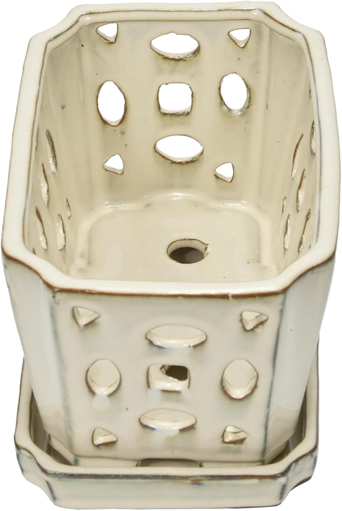 W&W Orchid Pot with Holes and Saucer - Image 3