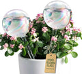 Extra-Thick Clear Glass Plant Watering Globes, Rainbow Gradient Self Watering by SoilaguaDirect