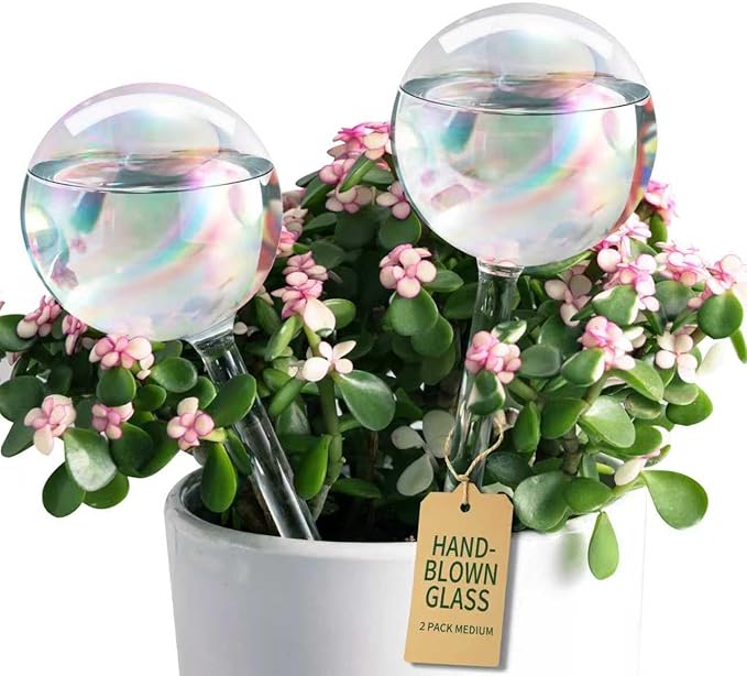 Extra-Thick Clear Glass Plant Watering Globes, Rainbow Gradient Self Watering by SoilaguaDirect