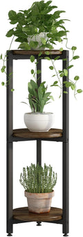 Plant Stand Indoor Corner Tall 3 Tier Metal Modern Flower Storage Plant Shelf by YIZAIJIA