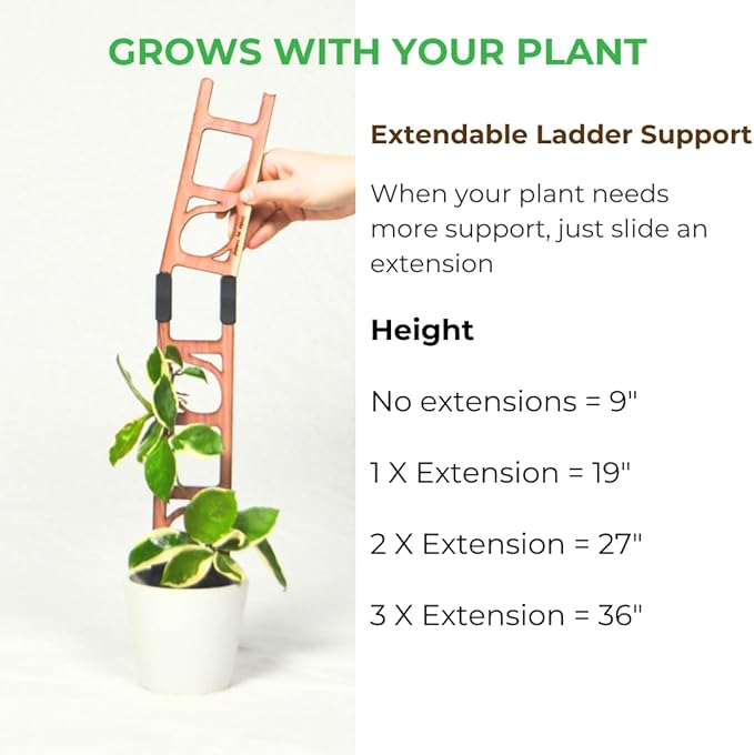 Treleaf Stella Extendable Ladder Trellis - Image 3
