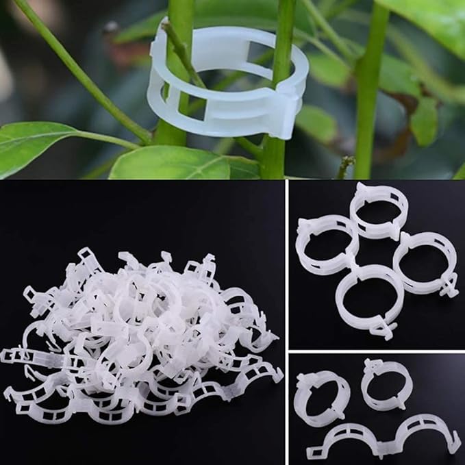 100PCS Plant Support Garden Clips Tomato Clips Supports/Connects - Image 2