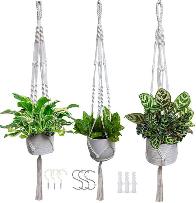 3 Pack Macrame Plant Hanger Indoor Hanging Planter by Feedee