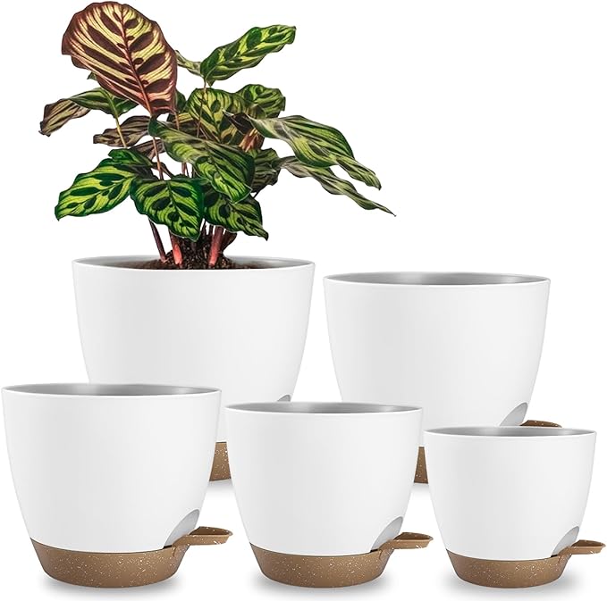 Plant Pots 8/7.5/7/6.5/6 Inch Self Watering Pots, 5 Pack Planters by Unknown