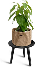 Uneedem Indoor Plant Stand, Modern Plant Table 8.9" Tall Wood Mid Century by Uneedem