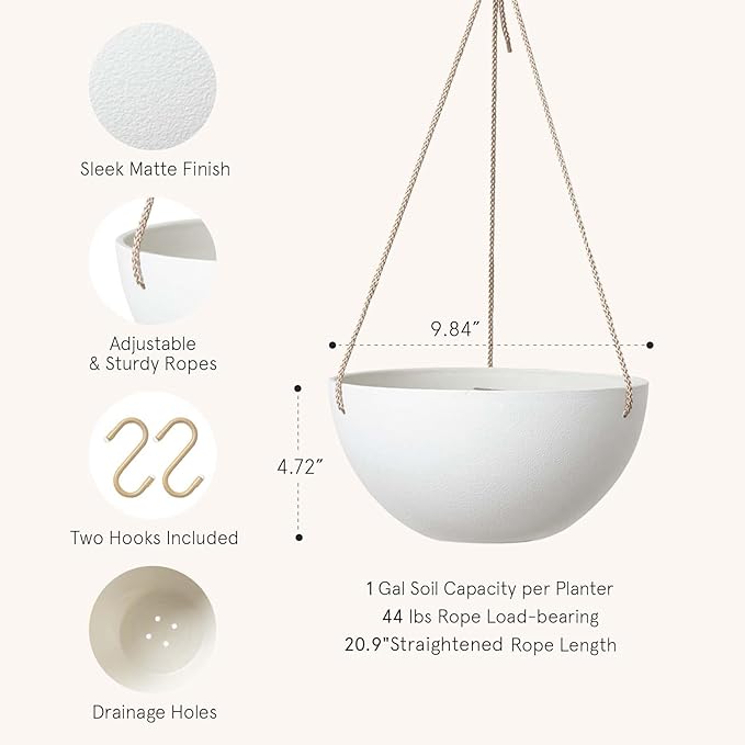 LA Jolie Muse Hanging Planter - Image 2