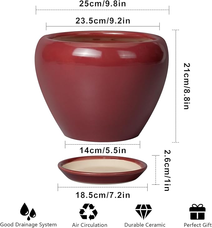 10 Inch Plant Pot - Image 3