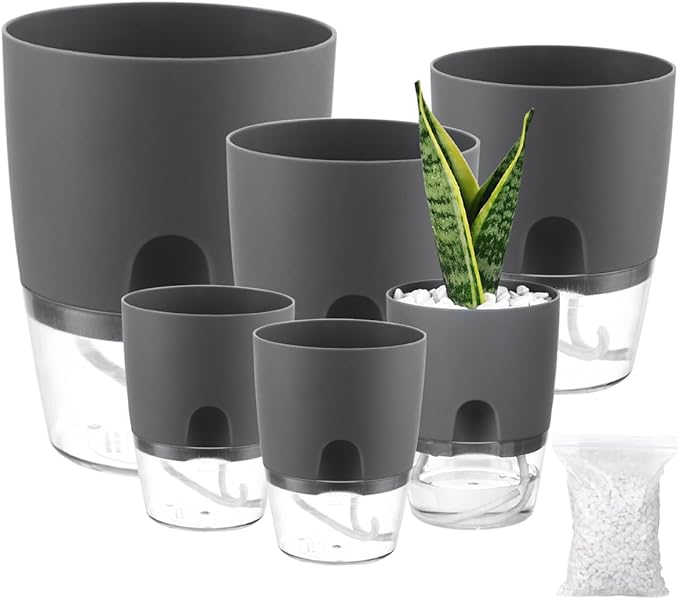 Planterhoma 6 Pack Self Watering Pots by Planterhoma