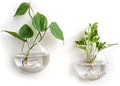 Mkono Wall Hanging Glass Terrariums Planter Oblate Flower Vase by Mkono