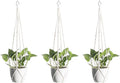 Macrame Plant Hangers 3 Pack, Hanging Plant Holders by dangjuacua