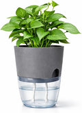 Self Watering Planter Pot with Upgraded Wick System – Modern Indoor Plant Pot by Unknown