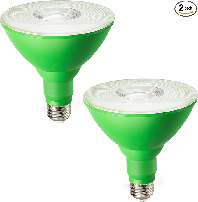 EDISHINE St.Patrick's Day/Easter Decorations PAR38 Green LED Flood Light Bulbs by EDISHINE