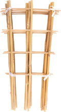 Avalution 10 Pack Bamboo Trellis by Avalution