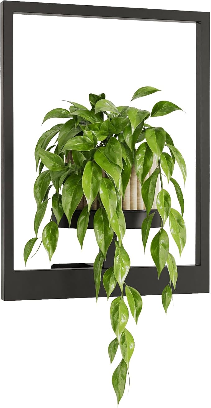 Bamworld Plant Stand Indoor Wall Decor Metal Plant Hanger Indoor Hanging Plant by Bamworld