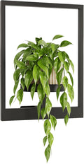 Bamworld Plant Stand Indoor Wall Decor Metal Plant Hanger Indoor Hanging Plant by Bamworld