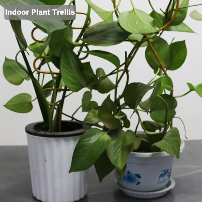 Small Metal Trellis for Potted Plants, Plant Support Stake Mini House Plant - Image 7