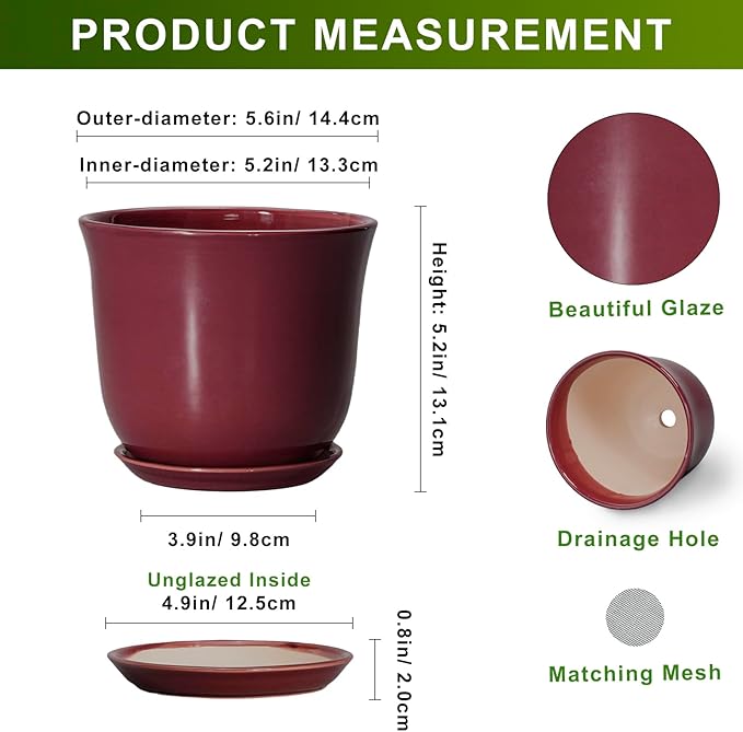 Ceramic Pots for Plants - Image 2