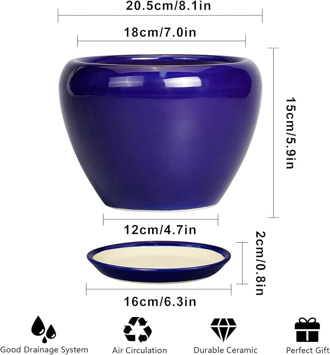 Ceramic Plant Pot 8 Inch - Image 3
