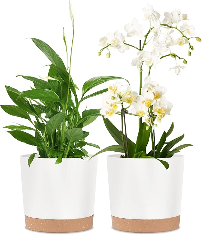 kubvici 2 Pack 8 Inch Planters for Indoor Plants, Plastic Flower Pots Plant by kubvici