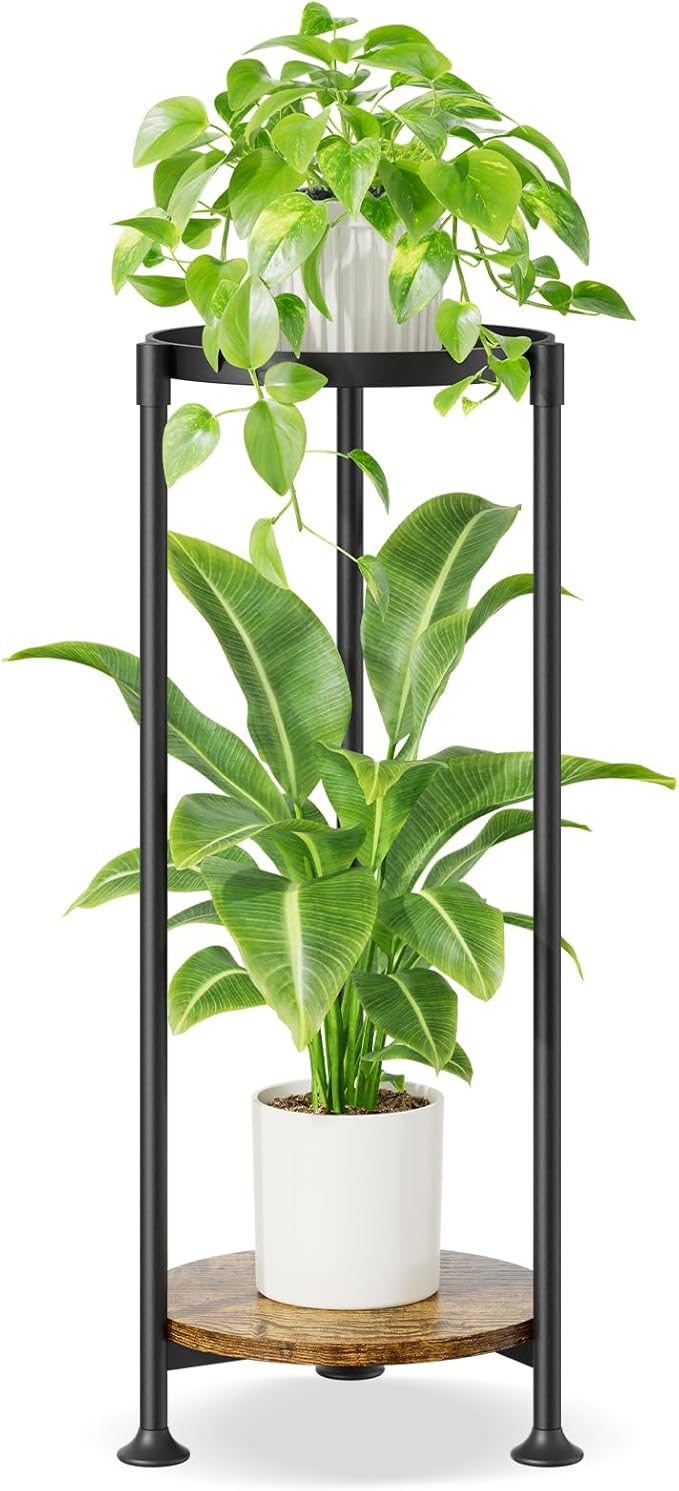 iDavosic.ly 2 Tier Corner Plant Stand Indoor, 30 Inch Tall Vertical Metal by iDavosicly