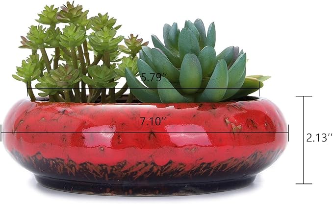 VanEnjoy 7.1 inch Round Large Shallow Succulent Ceramic Glazed Planter Pots - Image 2