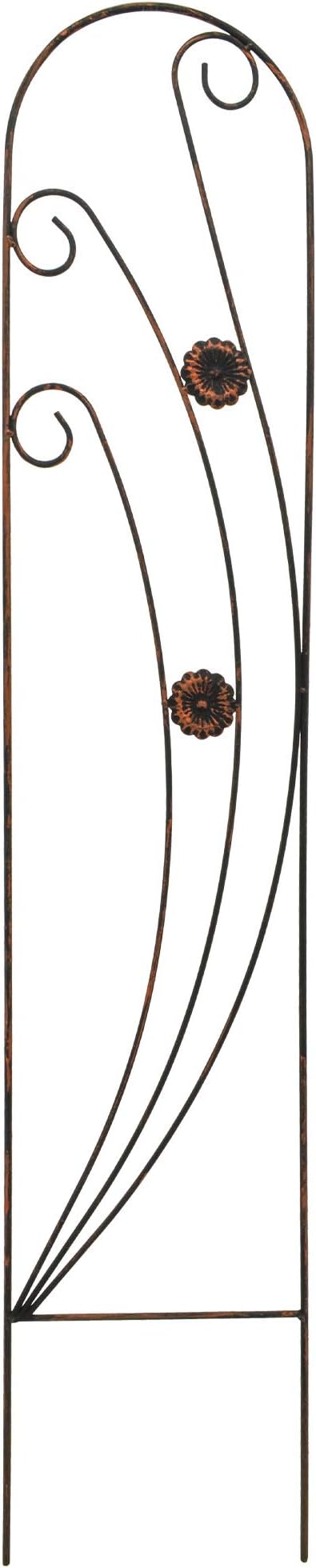 Arcadia Garden Products TR07 Phoenix Trellis Size: 4' by Unknown