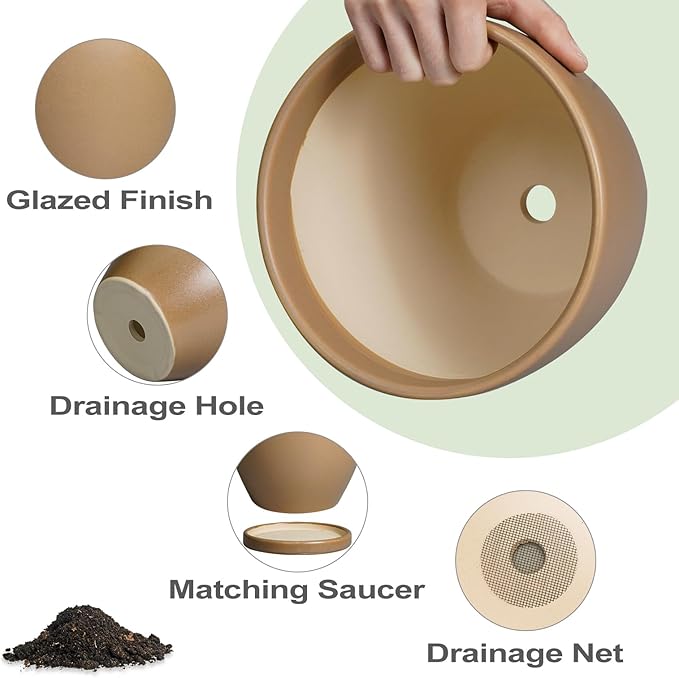 Ceramic Pots for Plants - Image 6