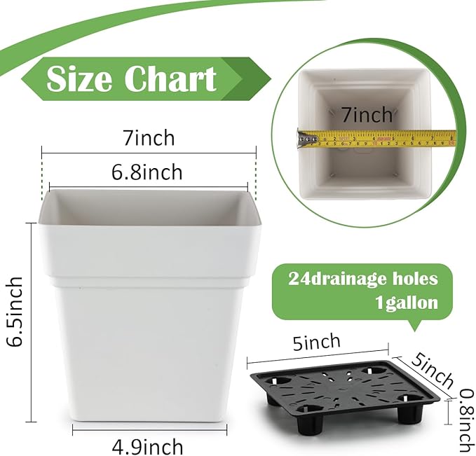 6-Pack 7 Inch Square Planters - Image 4