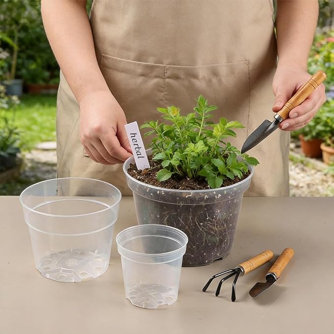 8/6/4 Inch Clear Plant Nursery Pots 15 Pack, Transparent Plastic Plant Pot - Image 5