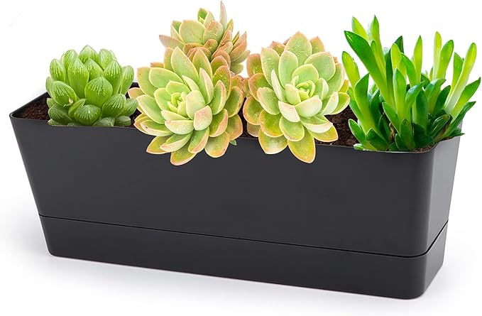 GREANER 12x3.8 Inch Herb Planters, 1 Pack Rectangle Window Boxes by GREANER