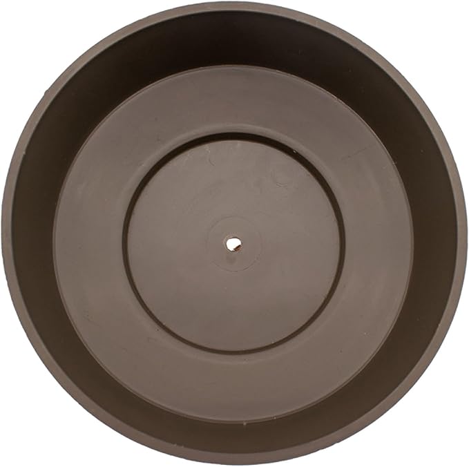 The HC Companies 8 Inch Round Plastic Succulent Capri Bowl Decorative Indoor - Image 2