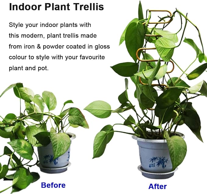 Small Metal Trellis for Potted Plants, Plant Support Stake Mini House Plant - Image 4