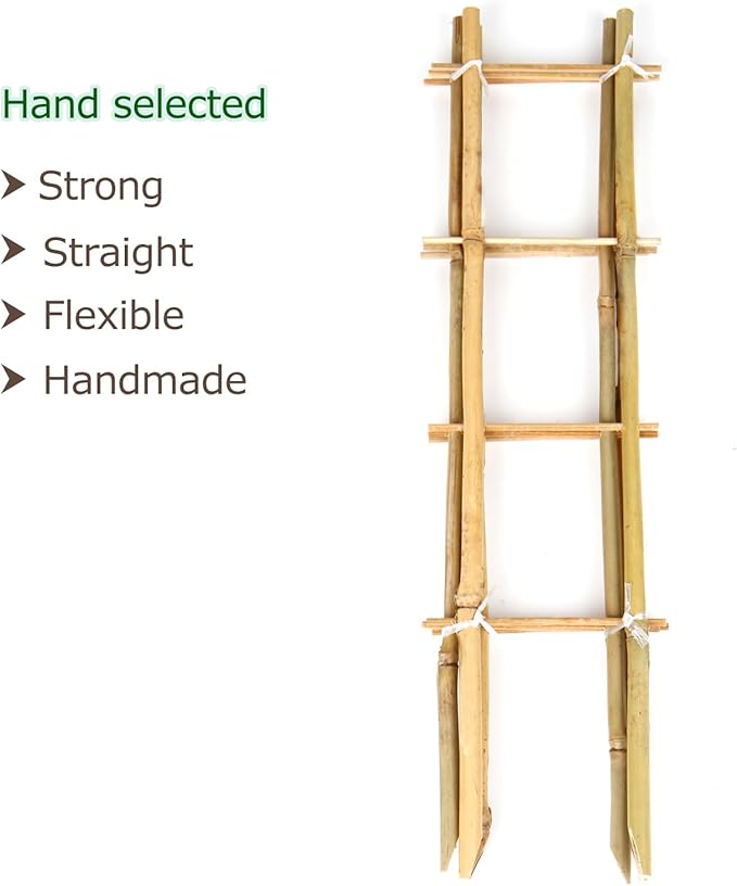 Bamboo Trellis, 16in Ladder-Shaped Trellis - Image 2