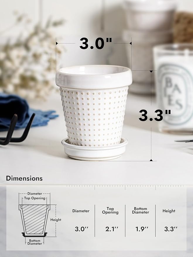 LE TAUCI 3 Inch Mini Succulent Pots - Image 4
