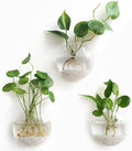 Mkono Wall Hanging Planter Propagation Station Glass Flower Vase by Mkono