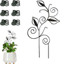 Decorative Metal Plant Trellis for Indoor Potted Plants – Leaf Shape Vine by Unknown