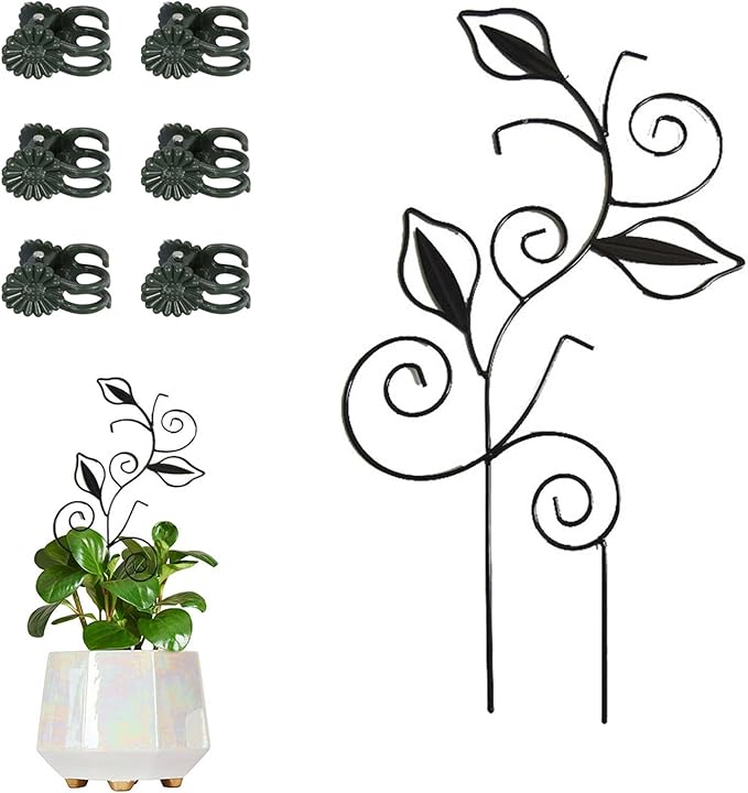 Decorative Metal Plant Trellis for Indoor Potted Plants – Leaf Shape Vine by Unknown