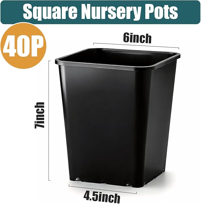 Nursery Pots 6 Inch 40 Pcs, Plastic Seed Starting Pot - Image 5