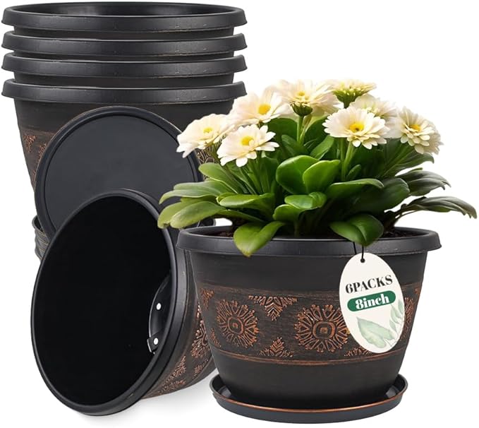 6 Pack 8 inch Plant Pots, Retro Pattern Planters by Usocik