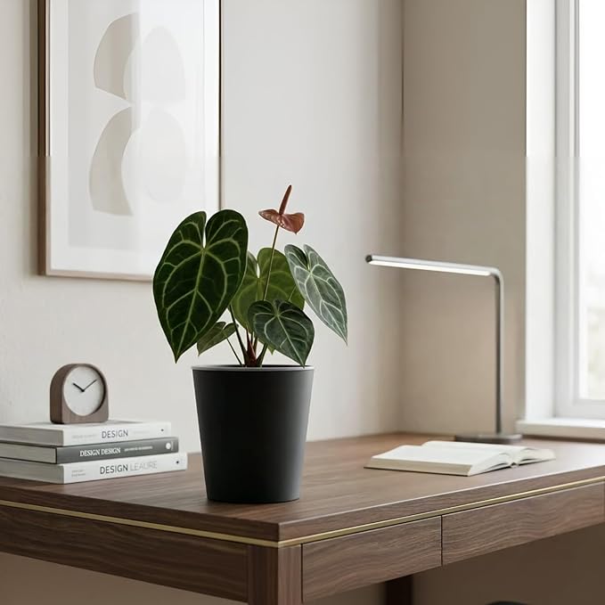 3 Pack of 6in Plastic Cachepot - Image 8
