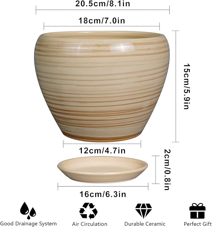 Planter 8 Inch - Indoor/Outdoor Ceramic Plant Pot - Image 3